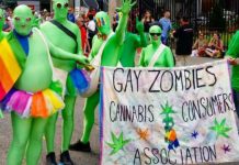 „Gay Zombies Cannabis Consumers Association“