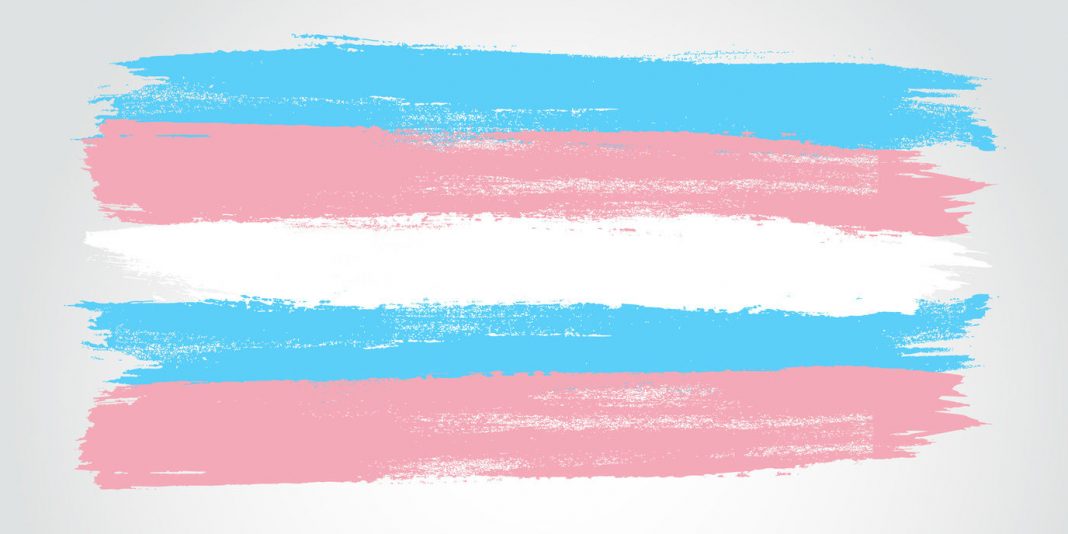 Transgender-Flagge