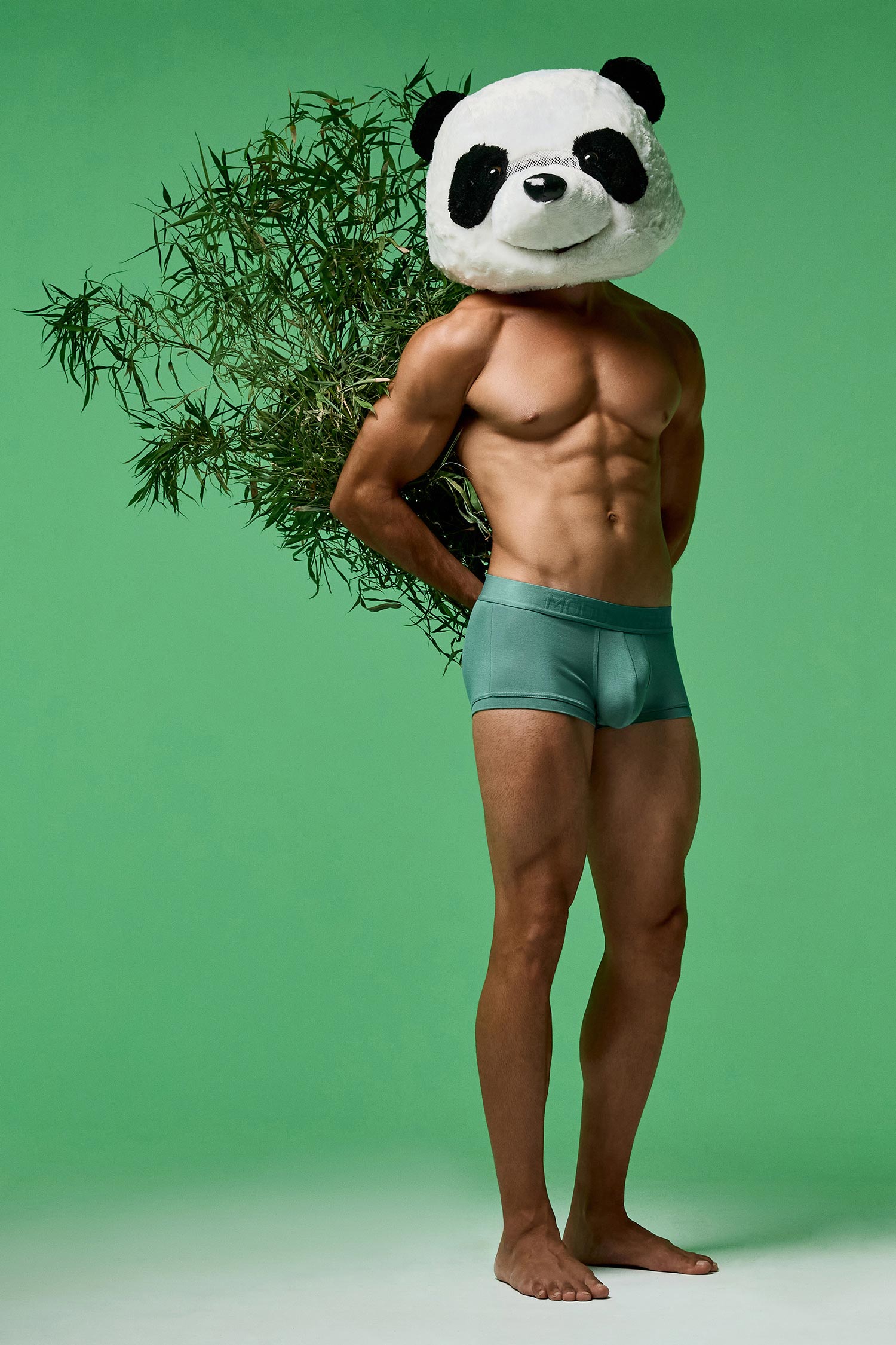 Bild des Tages: Bamboo Line von Modus Vivendi